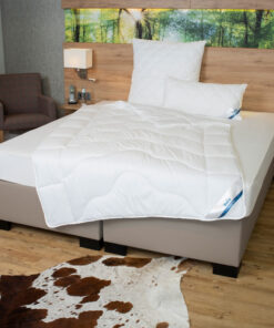 Testsieger Kopfkissen